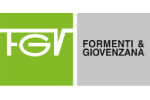 logo FGV